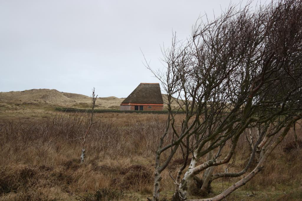 Duinhotel Texel De Koog  Eksteriør billede