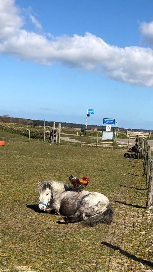 Duinhotel Texel De Koog  Eksteriør billede